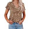 Leo Bluse Kurzarm